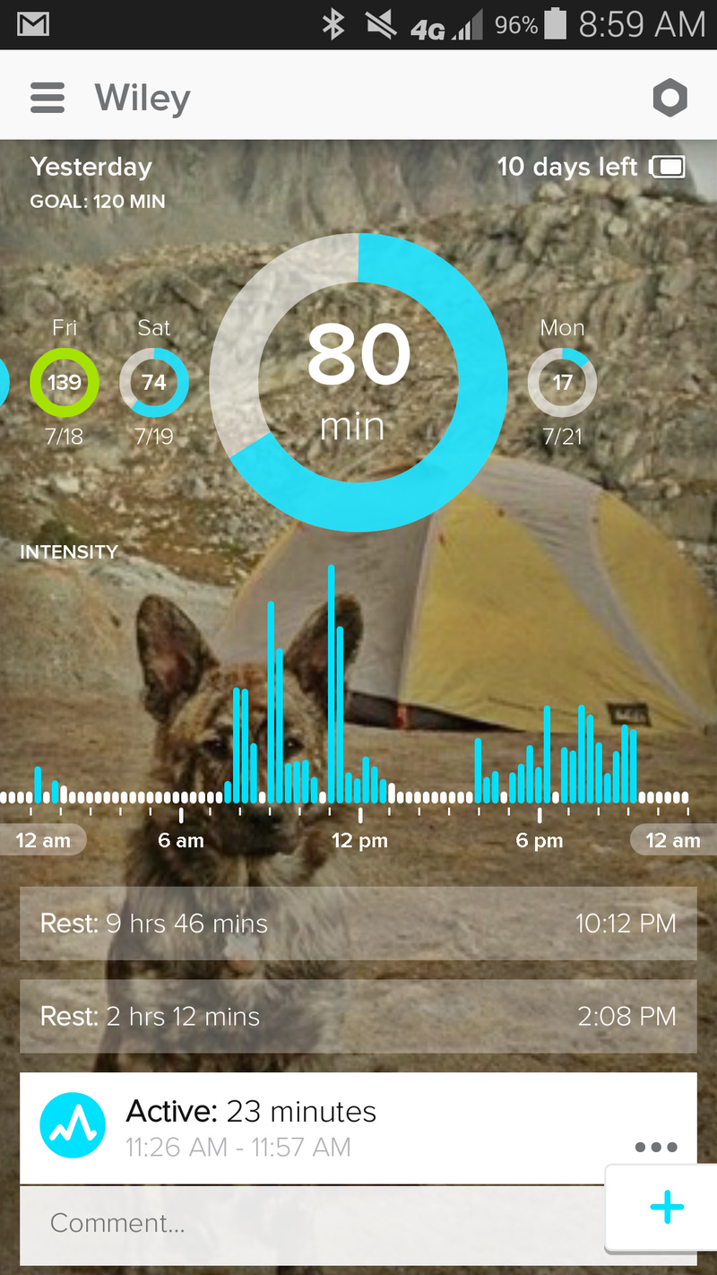 Illustration for article titled Adventure Tested: Whistle, A Fitness Tracker For Your Dog